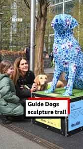 bbc guide dogs sculpture trail
