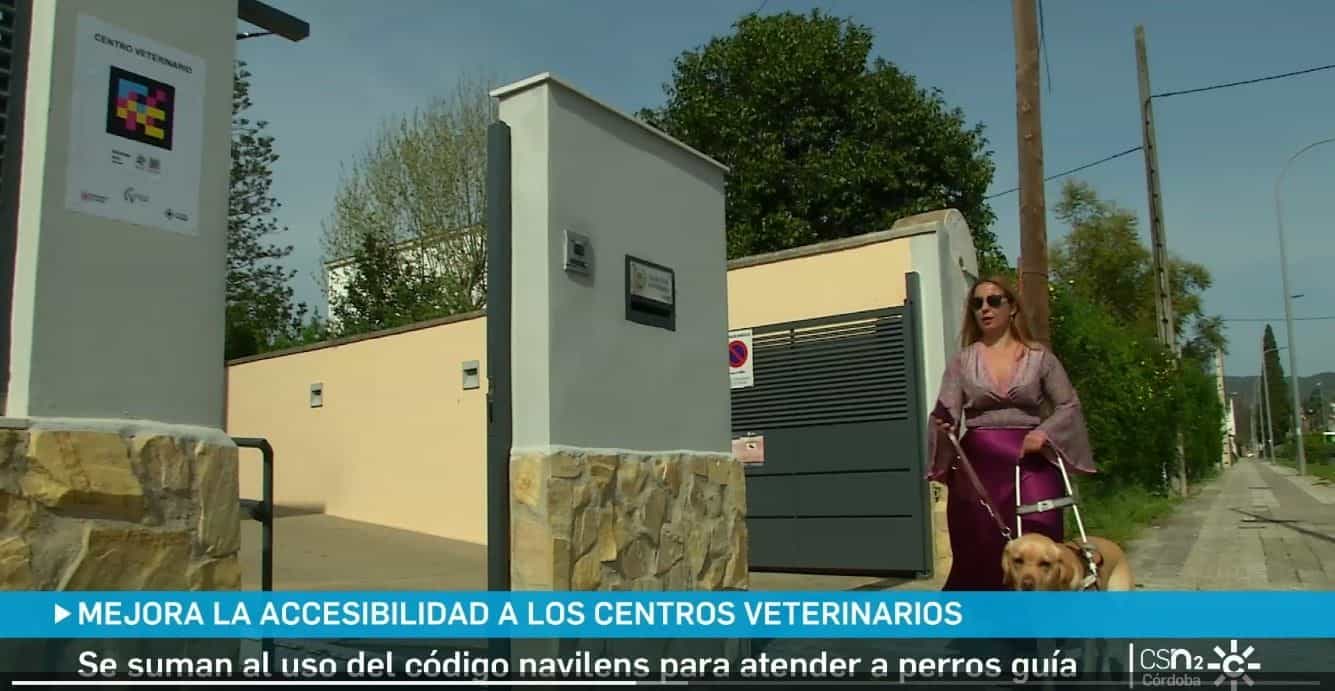 A user with her labrador guide dog at the entrance of a veterinary clinic in Córdoba, where a «Centro Veterinario» decal with a NaviLens code has been fitted on the façade