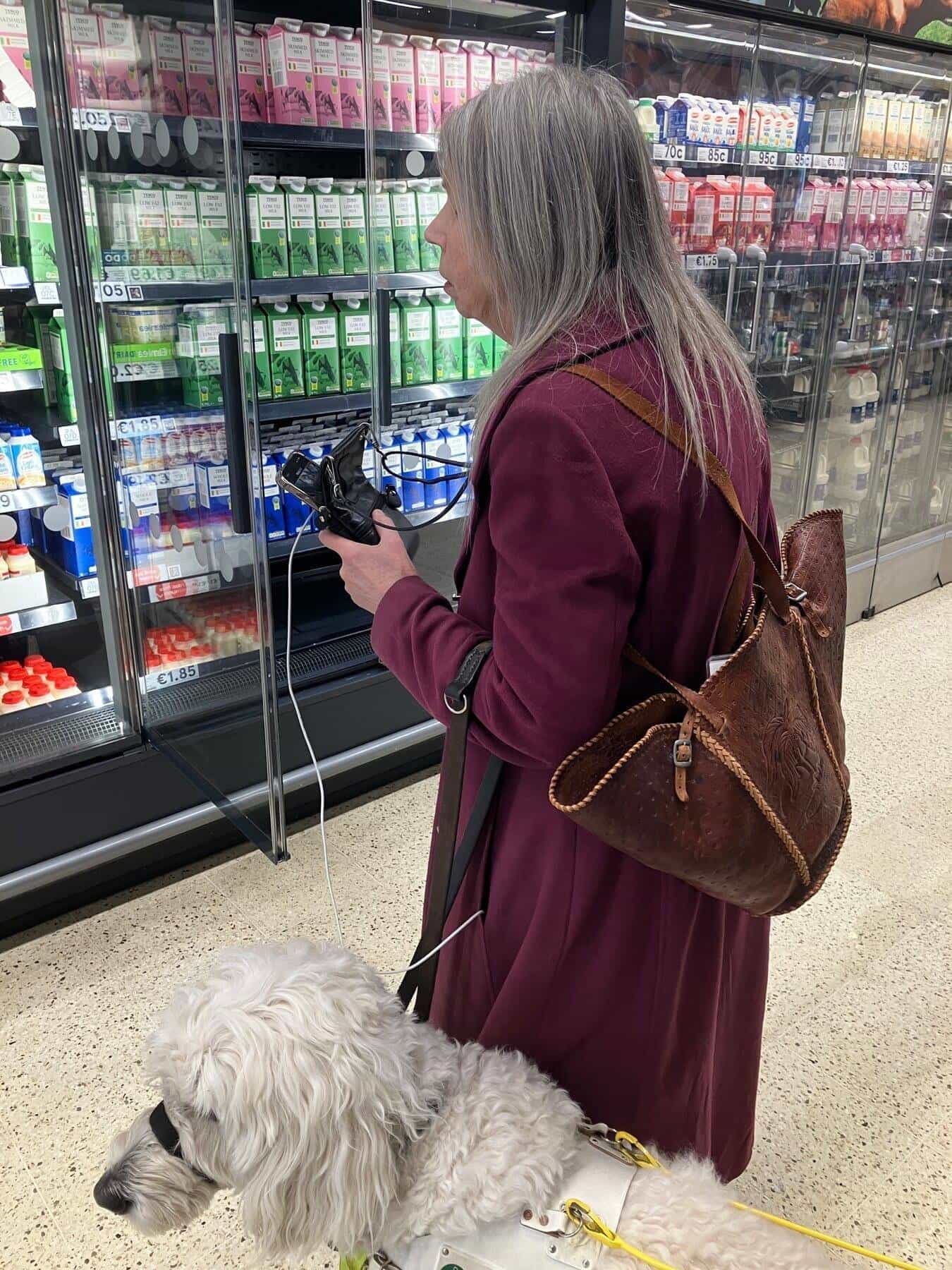 Tesco Clonmel — Shopping with a guide dog at the fridges