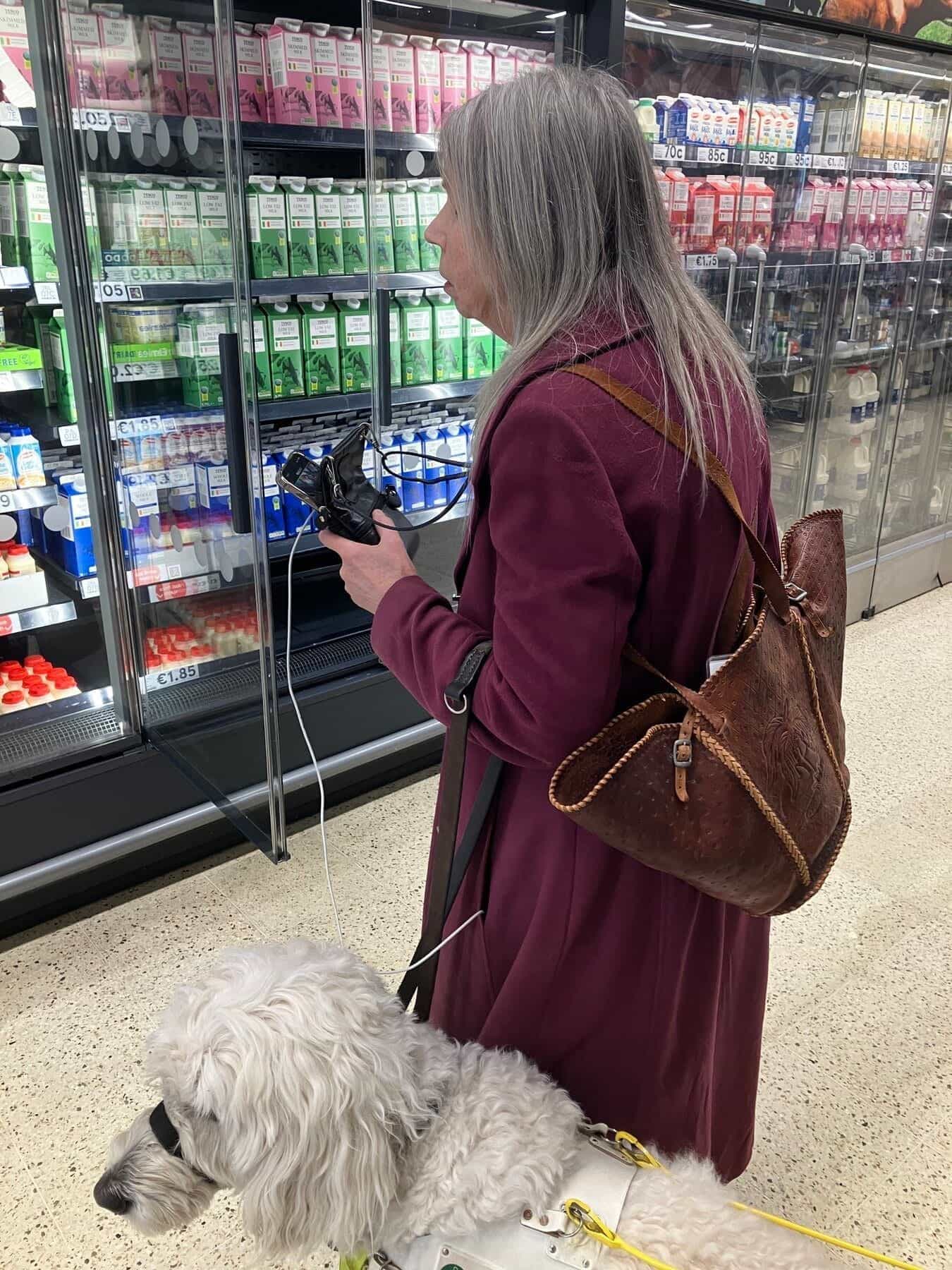 Tesco Clonmel — Achat avec chien-guide aux frais