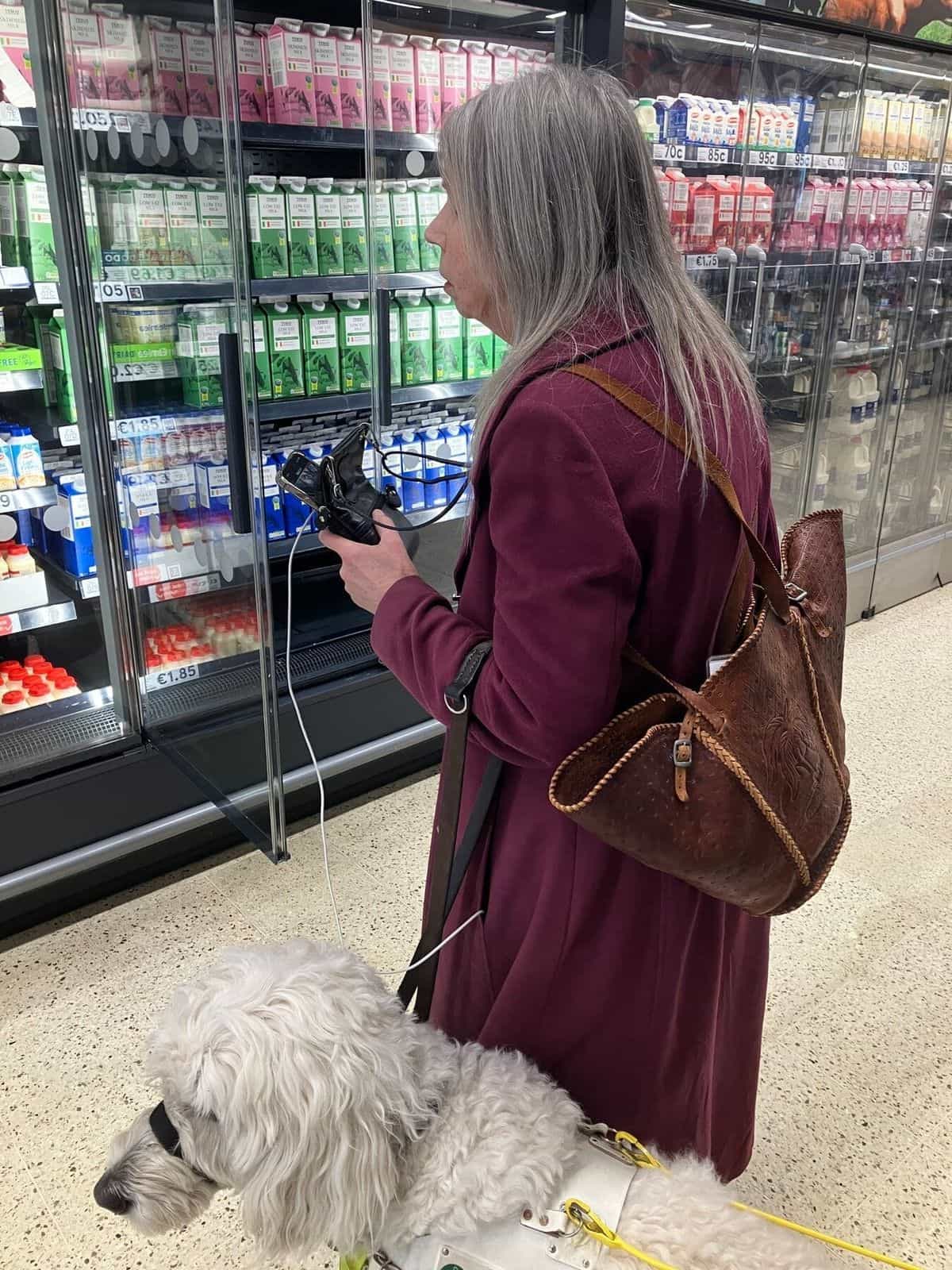 Tesco Clonmel — Achat avec chien-guide aux frais