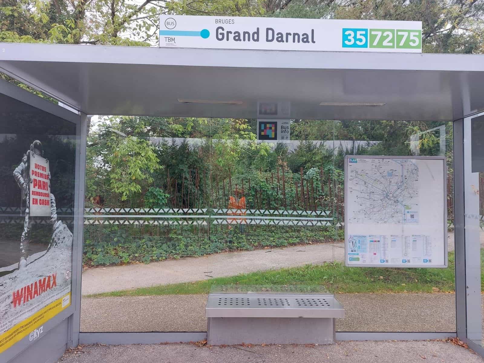 Grand Darnalシェルター内側:ガラス上部に「Bus info — NaviLens Accessible Code」パネル、右にTBMの地図