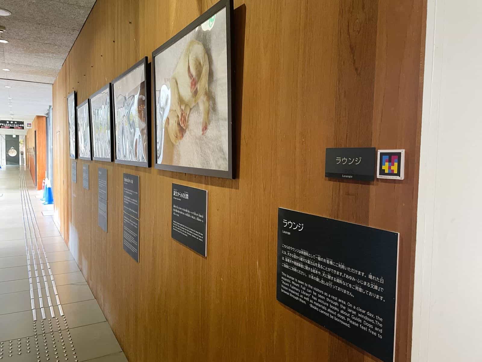 Entrance to the Lounge at Fuji Harness with the “Ayumi·Fujimaru Library” photo exhibit of puppies, bilingual “ラウンジ / Lounge” sign and a framed NaviLens GO code at visitor height