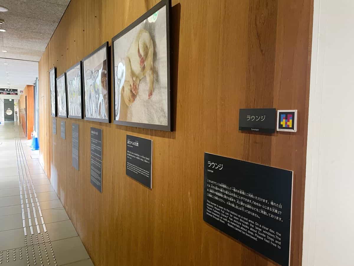 富士ハーネスのラウンジへのアクセス、子犬の写真展「歩・ふじまる文庫」、二言語サイン「ラウンジ / Lounge」、来館者の高さに額装されたNaviLens GOコード