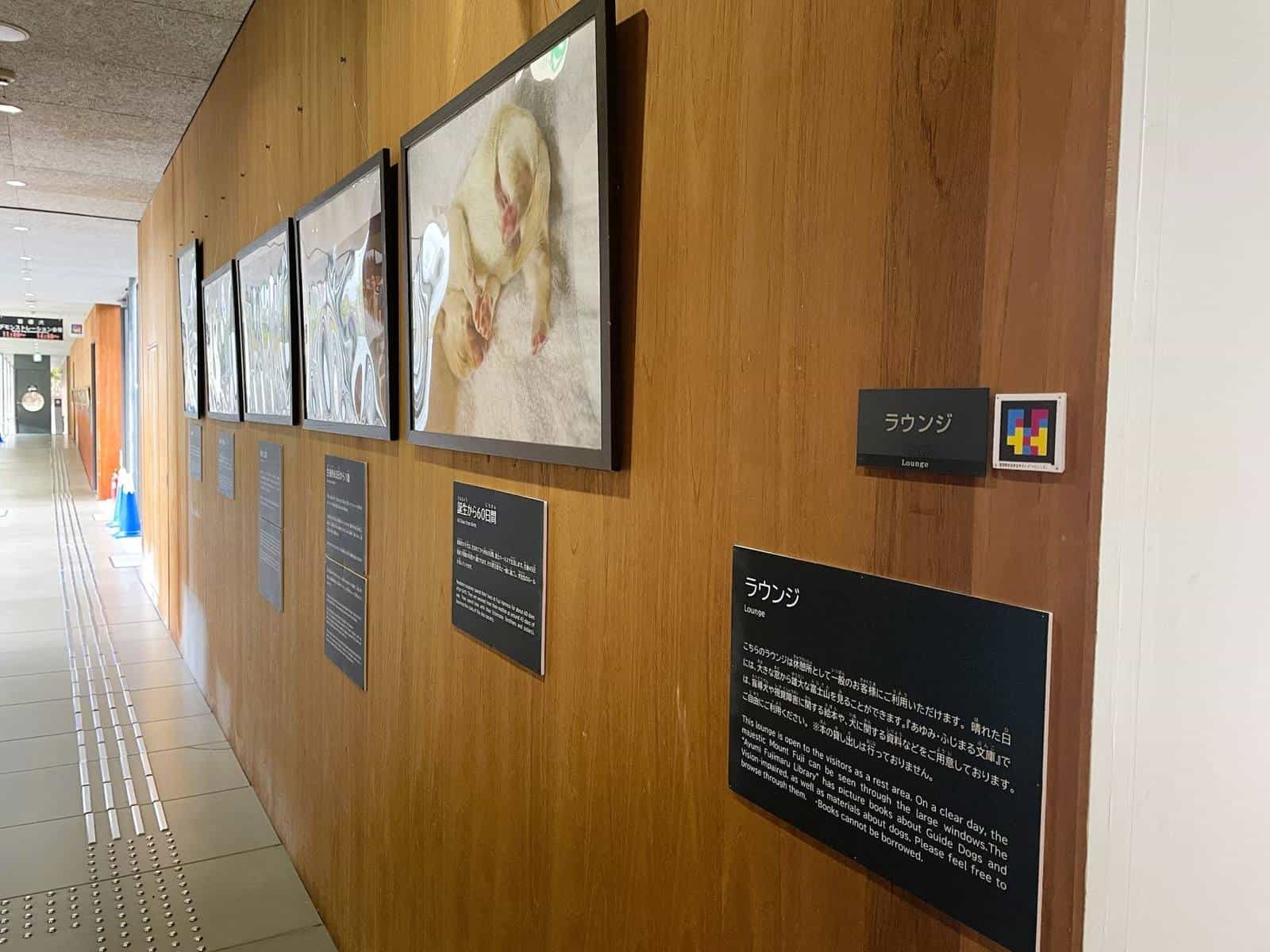 Entrance to the Lounge at Fuji Harness with the “Ayumi·Fujimaru Library” photo exhibit of puppies, bilingual “ラウンジ / Lounge” sign and a framed NaviLens GO code at visitor height