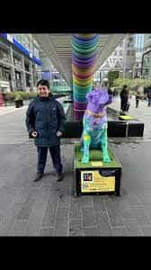 nino perro morado canada place