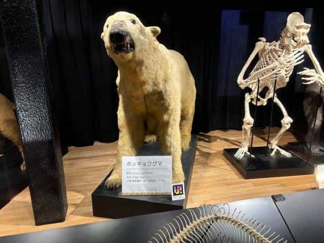 Tennoji Zoo Museum NaviLens code