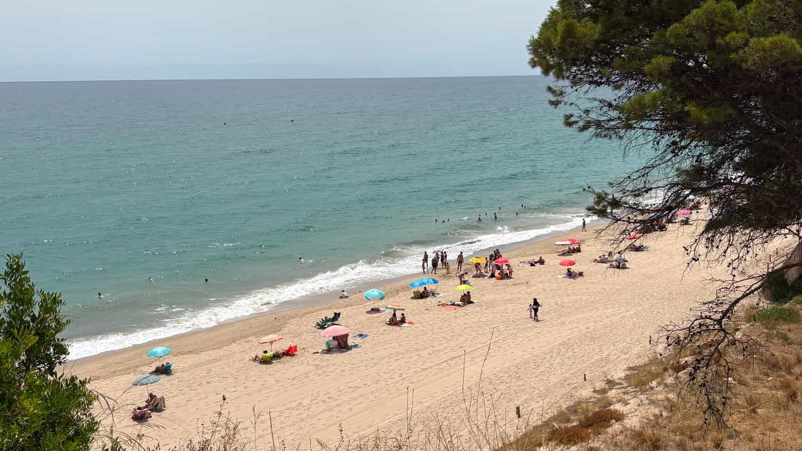 Strand am Passeig de les Cales, aus dem Pinienwald gesehen, mit bunten Sonnenschirmen und Badegästen am Wasser