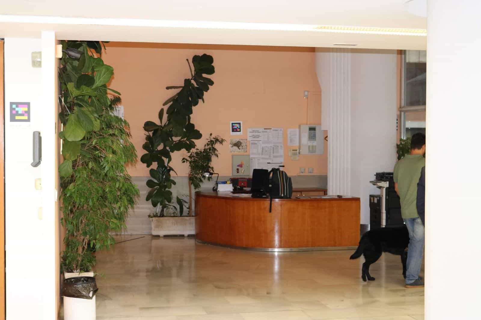 Veduta verso il banco della reception e della biblioteca dell’ONCE Valladolid: bancone curvo di legno con la scritta «Biblioteca — orario di apertura», codici NaviLens sulla parete di fondo, piante di ficus all’ingresso e, sul lato destro, un utente con cane guida nero che consulta le informazioni