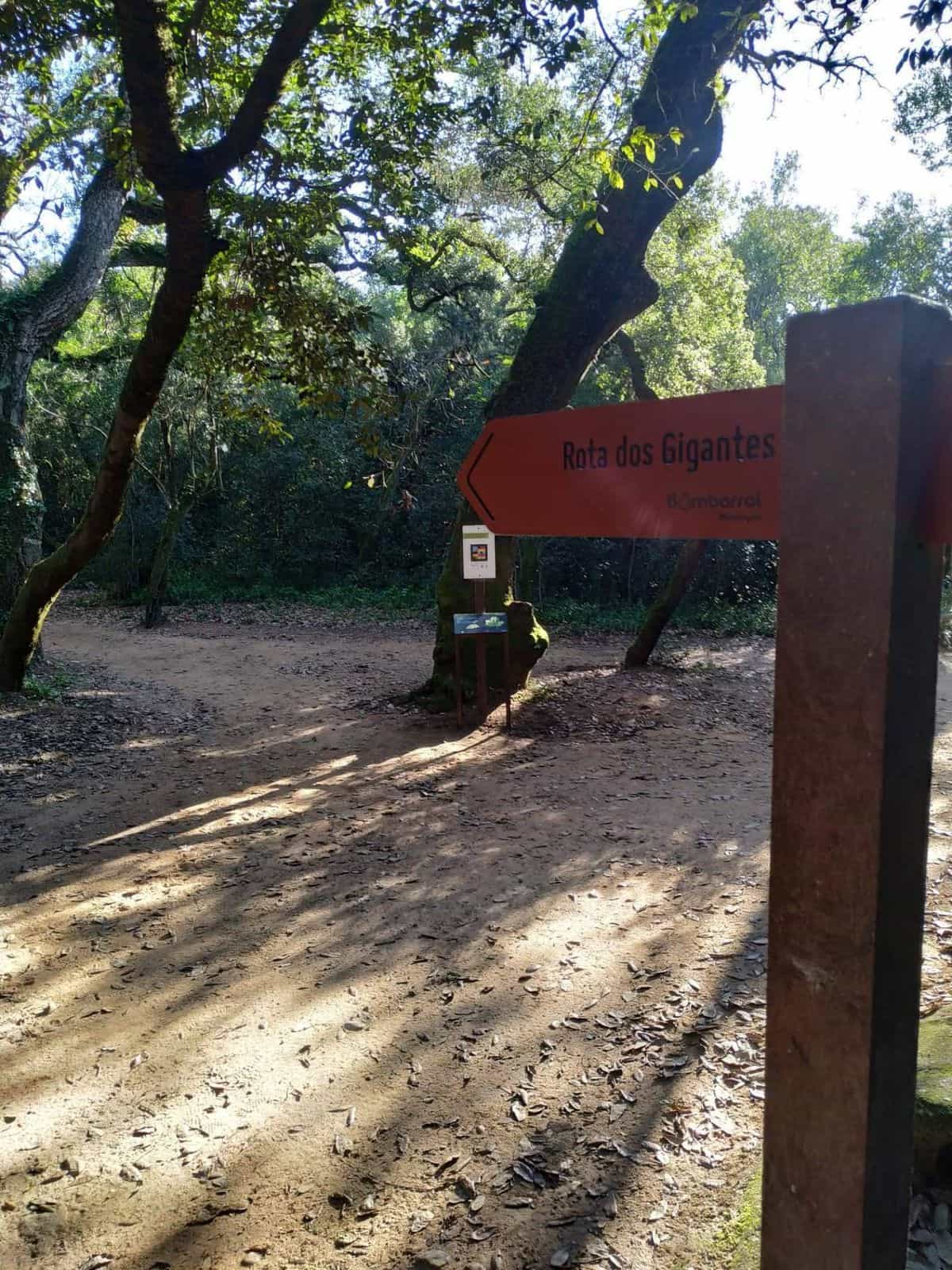 Bombarral — Sendero principal de la Mata · NaviLens
