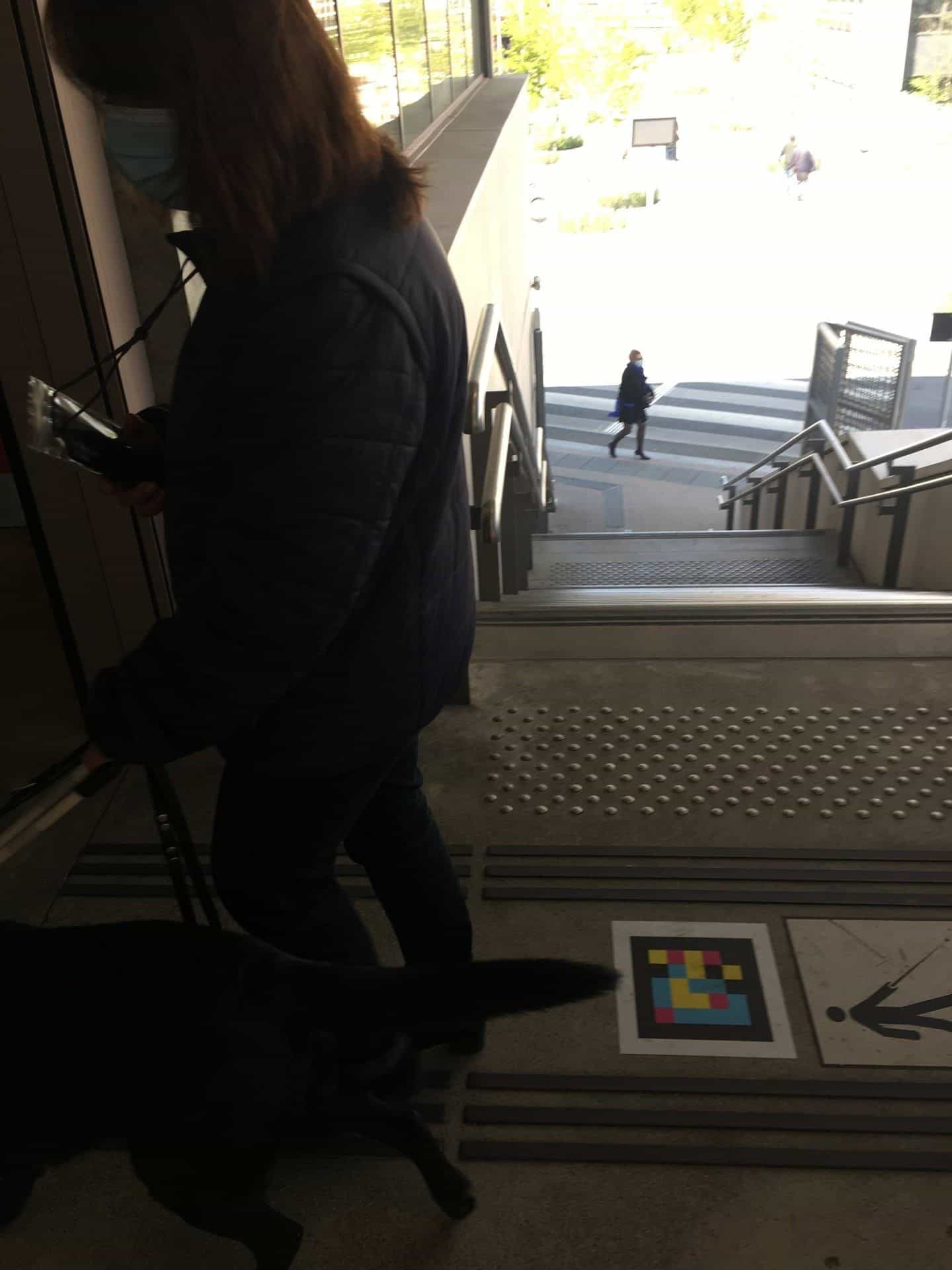 Woman with guide dog at the top of stairs, NaviLens code with arrow indicating descent.