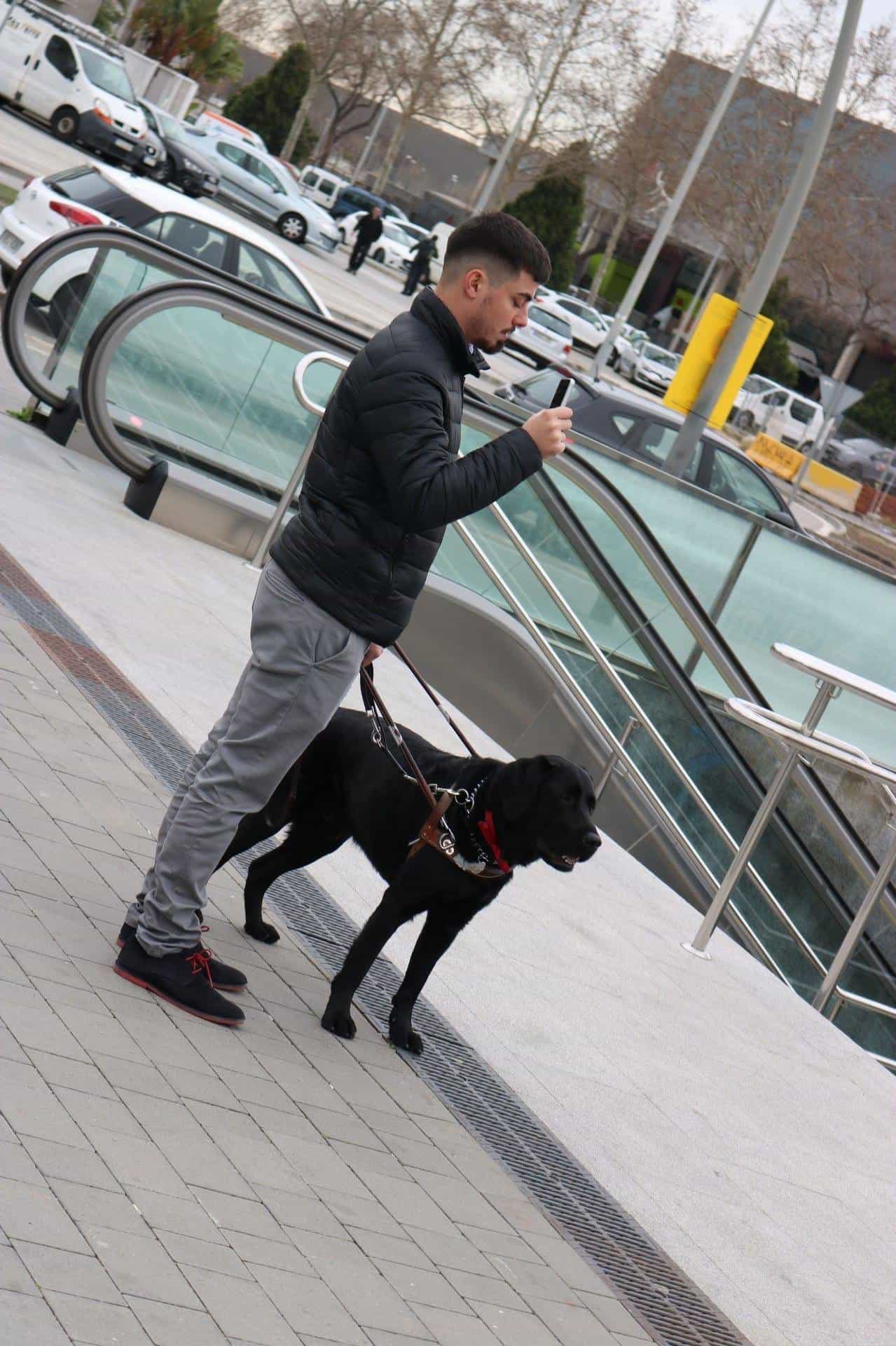TMB Barcelona — User with guide dog