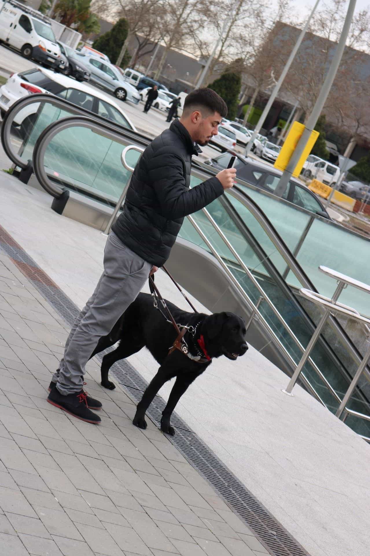 TMB Barcelona — 盲導犬を連れた利用者