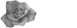 MVRLab, Universidad de Alicante